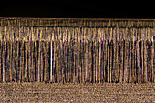Razor blade, light micrograph