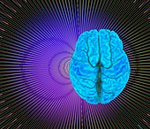 Human brain abstract, 3D MRI scan