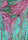 Vitamin C crystals, polarised light micrograph
