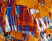 Covellite, thin section micrograph