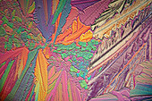 Nickel nitrate crystals, polarised light micrograph
