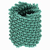Archaeal virus APBV1 helical capsid, molecular model