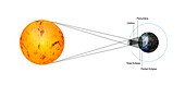 Total solar eclipse geometry, illustration