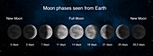 Phases of the Moon, illustration