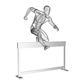 Person hurdling, skeletal system, illustration