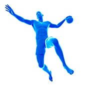 Handball player, illustration