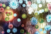 Common cold virus, conceptual illustration
