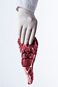 Person holding raw meat with biohazard symbol