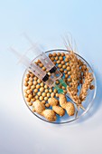 Cereals and nuts in petri dish with syringes