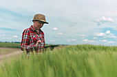Female farmer using tablet in wheat field