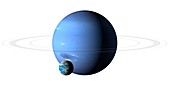 Earth compared to Neptune