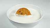 Cookie falling in milk, slow motion