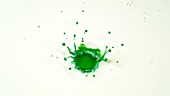 Green food colouring falling, slow motion