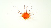 Yellow food colouring falling, slow motion