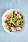 A lobster and vegetable salad
