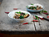 Rindfleisch mit Gemüse, Chili und Thaibasilikum auf Reis (Asien)