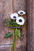 Anemones and ivy on handle of old wooden door