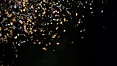 Confetti falling, slow motion