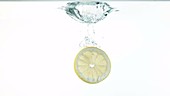 Slice of lemon falling in water, slow motion