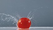 Cherry tomato falling in water, slow motion