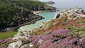 Heather on cliffs