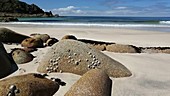 Granite boulders on a beach