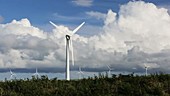 Wind farm, Cornwall