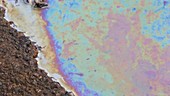 Iridescent colours in oily puddle