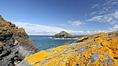 Lichen-covered rocks