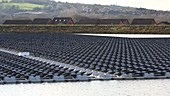 Floating solar farm
