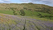 Lake District view