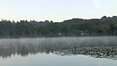 Misty lake scene