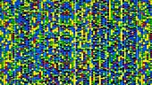 DNA sequence, animation