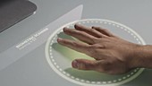 Biometric hand scanner