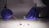 Forensic technician testing blood