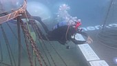 Nemo's Garden diver