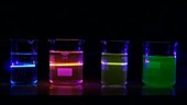 Fluorescence demonstration