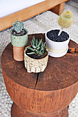Tree stool with cactus