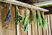 Bunches of herbs hanging up to dry