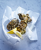 Fresh oysters with lemon wedges on paper