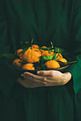 Fresh raw tangerines citrus fruits with leaves in plate in hands of girl wearing green dress