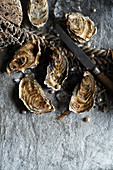 Unopened oysters on a stone background