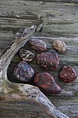 Various healing stones