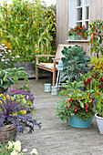 Terrassen Arrangement mit Gemüse und Sommerblumen