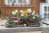 Advents-Gesteck mit Christrosen und  Zweigen auf Holzbrett