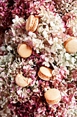 An arrangement of delicate pink made from flowers and macaroons (full frame)