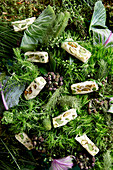 An arrangement of green shades made from vegetables, leaves and white nougat (full frame)