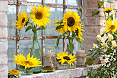 Sonnenblumen und Windlichter am Stallfenster