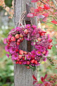 Pinker Herbst-Kranz aus Astern, Fetthenne, Zieräpfeln und Hagebutten