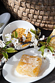 A piece of honeycomb, bee pollen, and a cherry tree branch